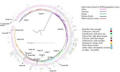 Antimicrobial Resistance Profiling and Phylogenetic Analysis of Neisseria gonorrhoeae Clinical Isolates From Kenya in a Resource-Limited Setting